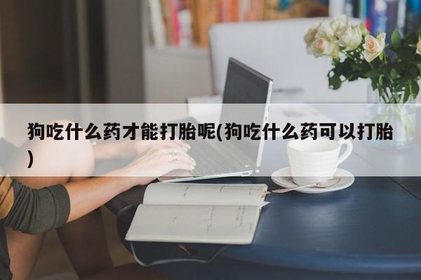 流产药怎么买狗吃什么药才能打胎呢(狗吃什么药可以打胎)
