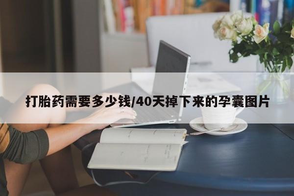 流产药怎么买打胎药需要多少钱/40天掉下来的孕囊图片